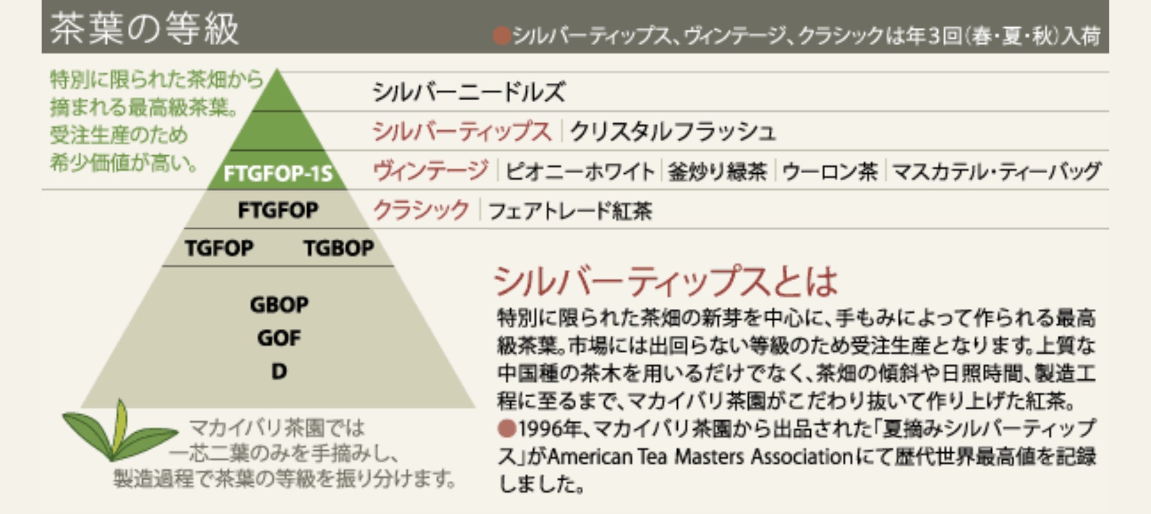 2023年 春摘み紅茶ファーストフラッシュ シルバーティップス（有機JAS認定ダージリン）