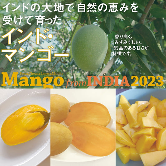 インド マンゴー〈ミスラ農園〉（クール便送料込み）