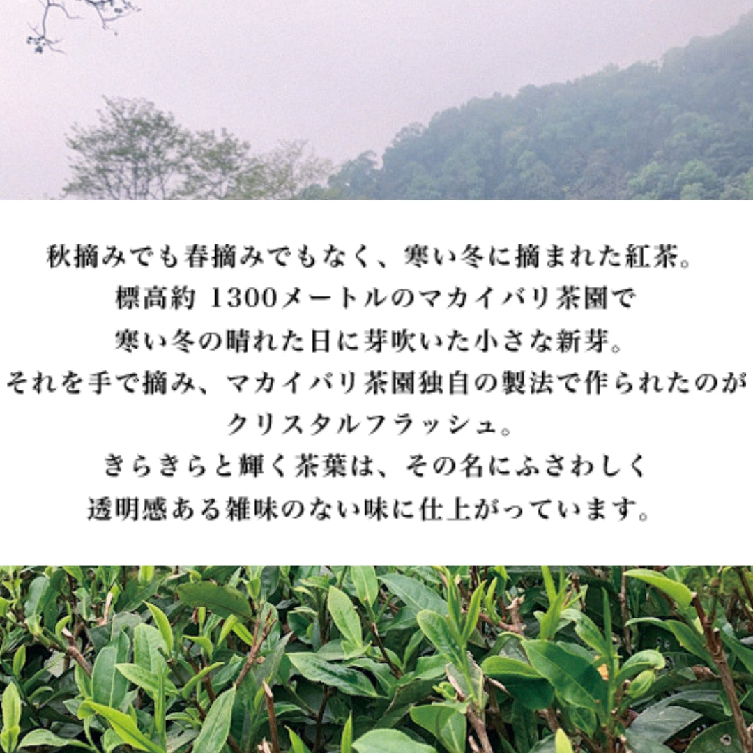2023年摘み紅茶 クリスタルフラッシュ（有機JAS認定ダージリン）