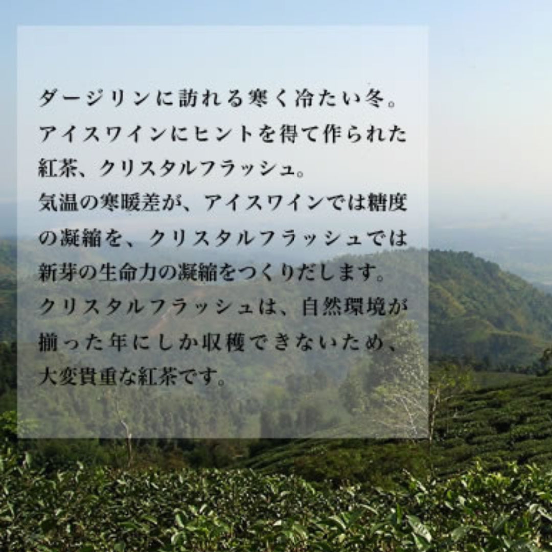 2023年摘み紅茶 クリスタルフラッシュ（有機JAS認定ダージリン）