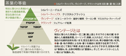 2023年 春摘み紅茶 ファーストフラッシュ ヴィンテージ（有機JAS認定ダージリン）