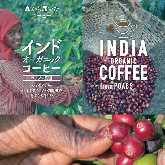 インド オーガニックコーヒー〈ポアブス農園〉中深煎り・深煎り焙煎（有機JAS認定）
