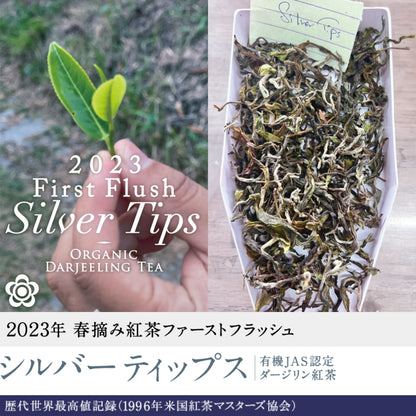 2023年 春摘み紅茶ファーストフラッシュ シルバーティップス（有機JAS認定ダージリン）