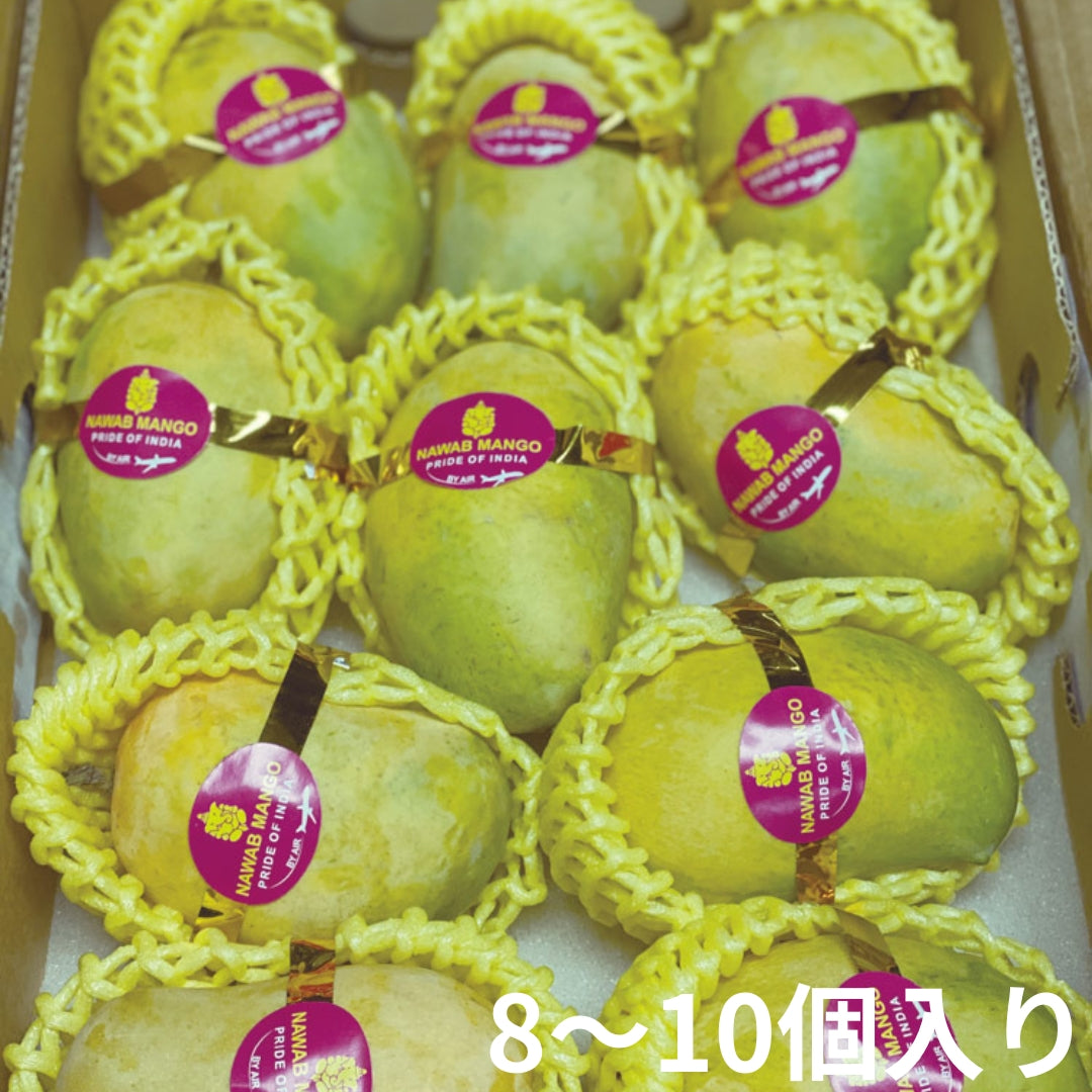 インド マンゴー〈ミスラ農園〉（クール便送料込み）