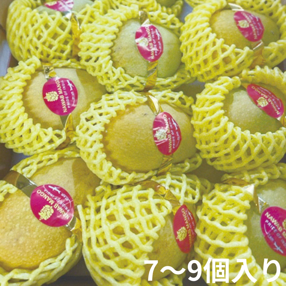 インド マンゴー〈ミスラ農園〉（クール便送料込み）