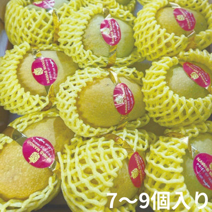 インド マンゴー〈ミスラ農園〉（クール便送料込み）