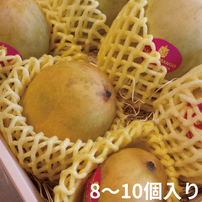インド マンゴー〈ミスラ農園〉（クール便送料込み）
