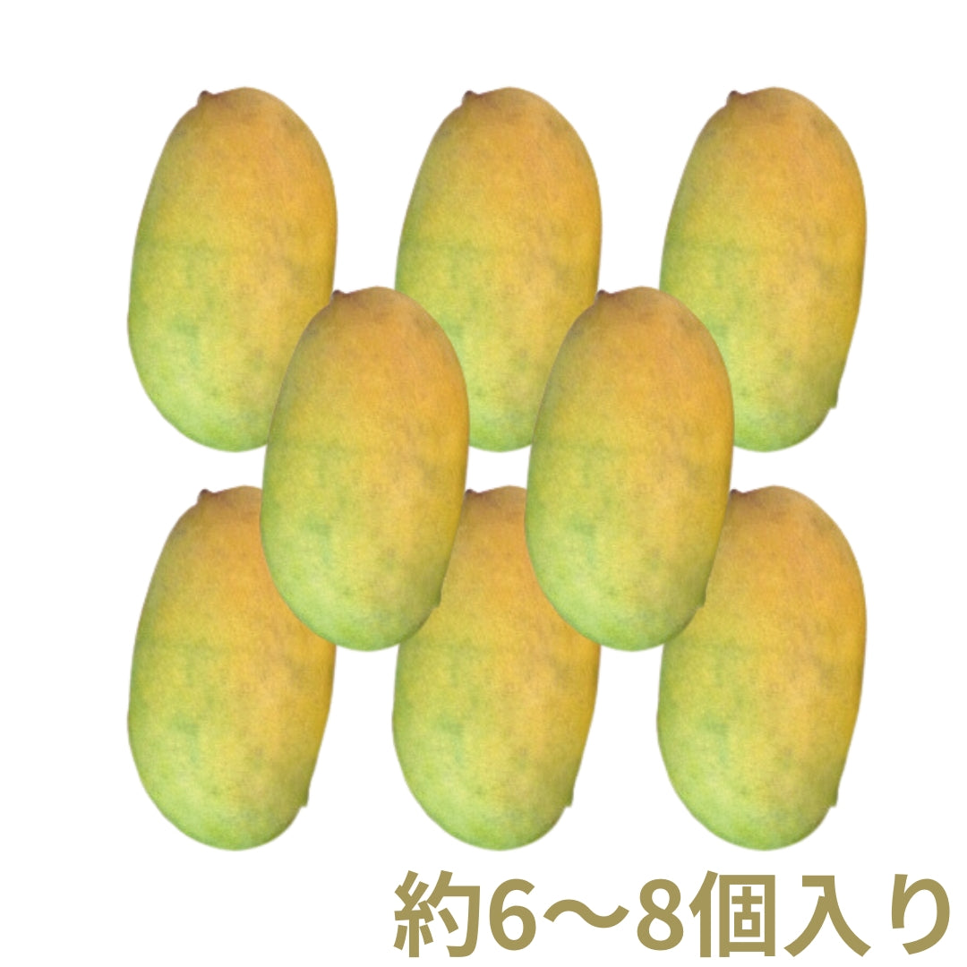 インド マンゴー〈ミスラ農園〉（クール便送料込み）