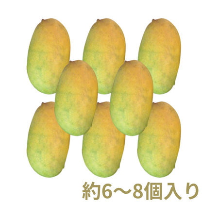 インド マンゴー〈ミスラ農園〉（クール便送料込み）